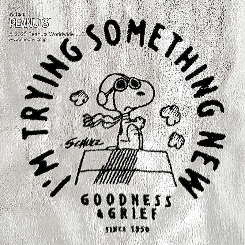 刺繍部分アップ　シルバーＳ