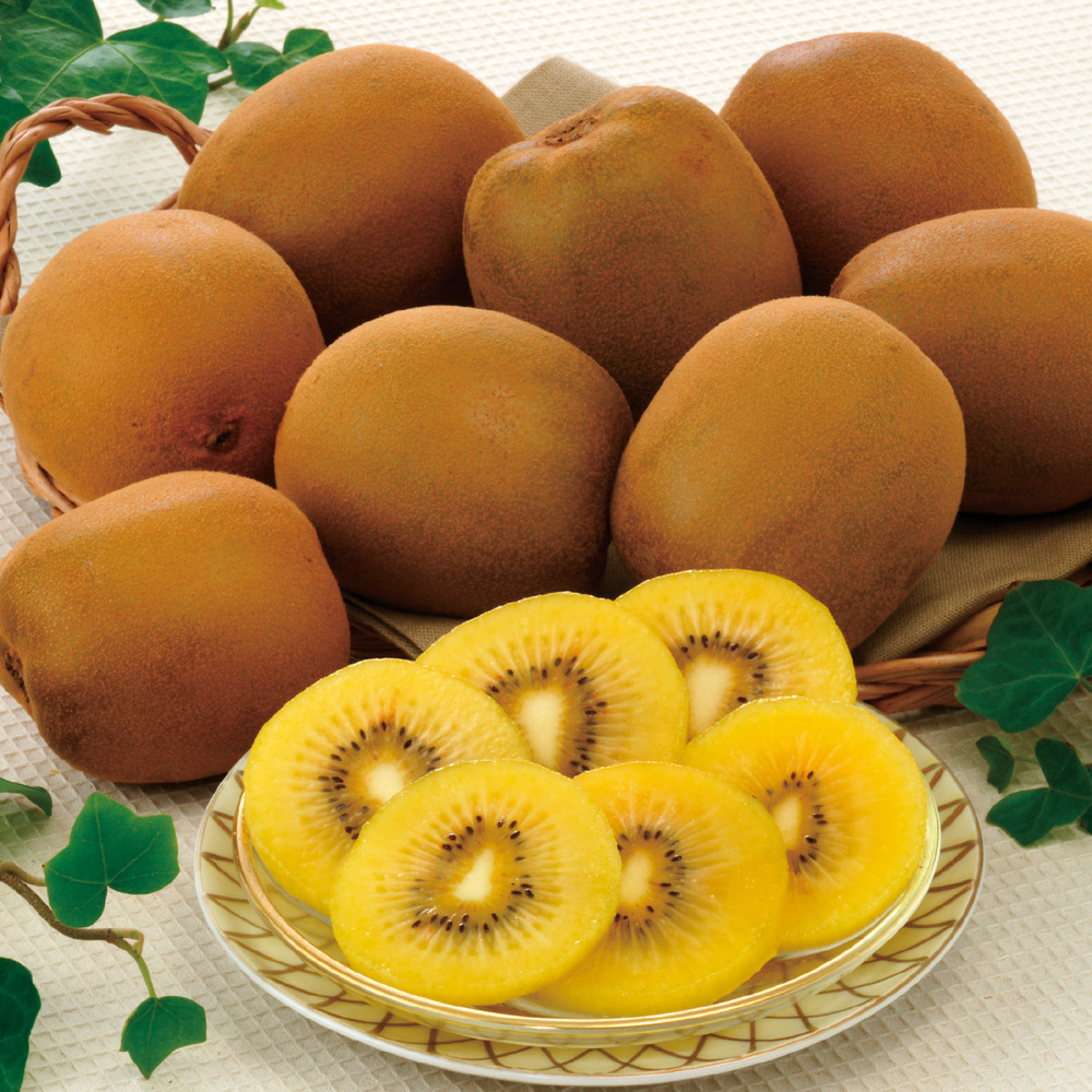 【ベルメゾン】【予約商品】 さぬきゴールド 1.1kg 【ベルメゾン】【予約商品】 さぬきゴールド 1.1kg