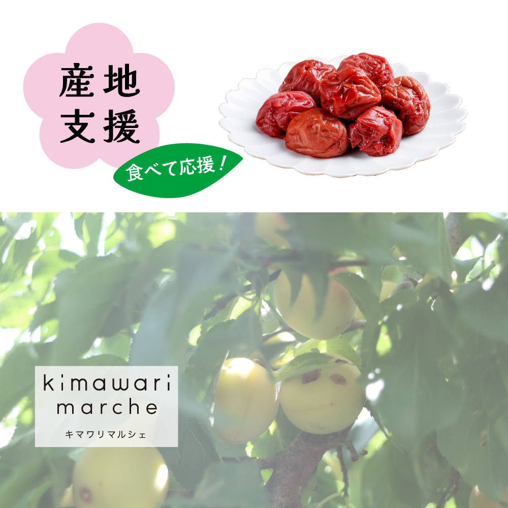 「梅農家さんを、食べて応援」ひょう被害を受けた紀州南高梅【しそ漬】2.1kg 「梅農家さんを、食べて応援」ひょう被害を受けた紀州南高梅【しそ漬】2.1kg