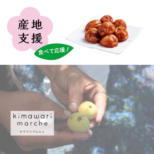 「梅農家さんを、食べて応援」ひょう被害を受けた紀州南高梅【蜂蜜漬】2.1kg