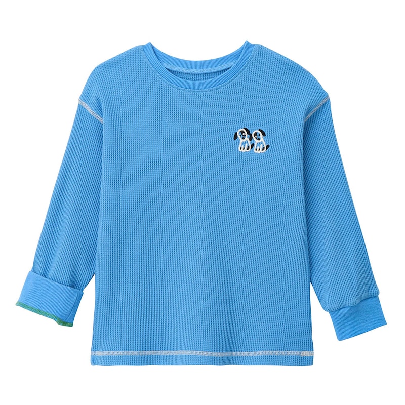 ライトブルー（イヌ）