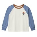 グレイッシュブルー（レッサーパンダ）