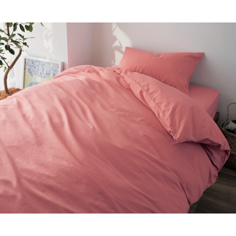 コーラル／洋式シングル