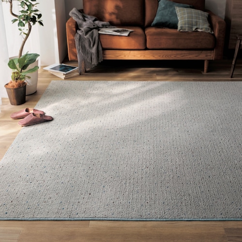 ミックスカラーの洗える抗菌防臭・防ダニシャギーラグ