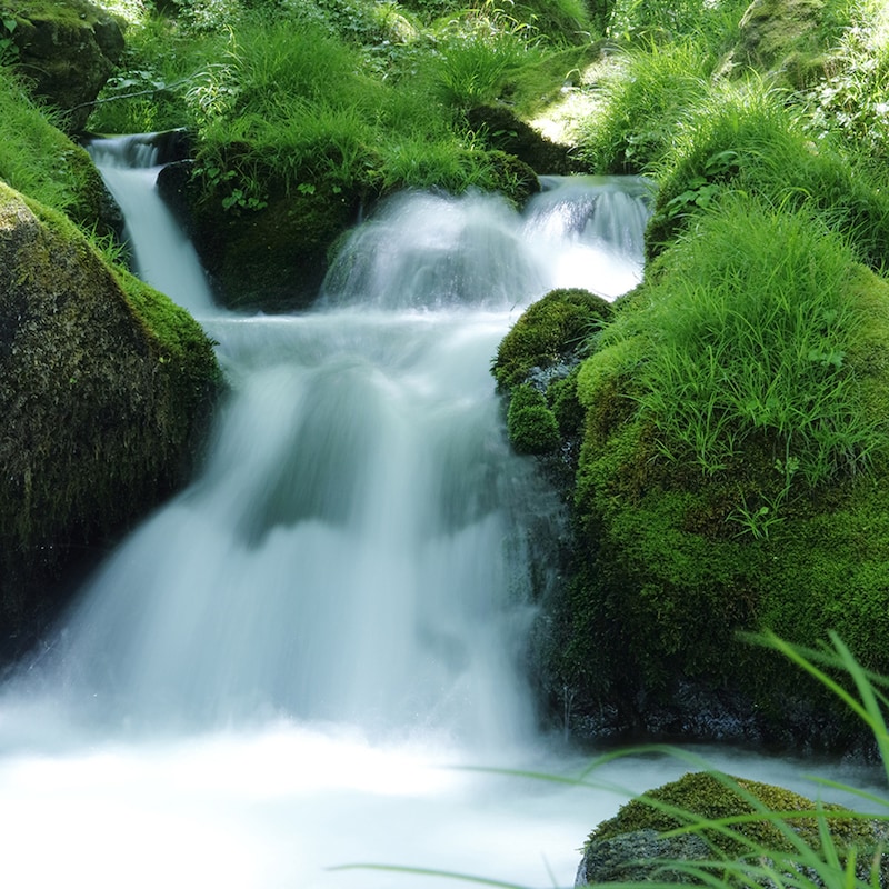 豊富な天然水で 丁寧に磨き洗いあげています
