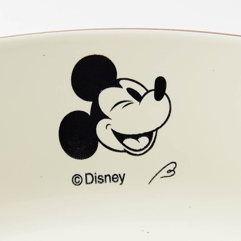 柄アップ　ミッキーマウス