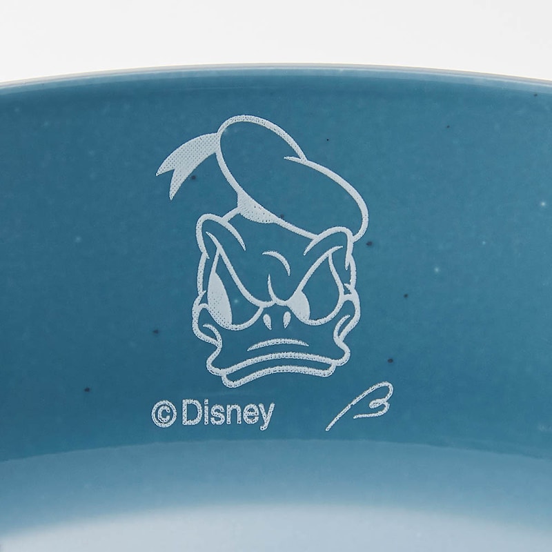 柄アップ　ドナルドダック