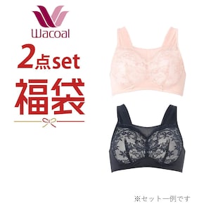 【ワコール/Wacoal】【2枚組】 ナイトアップブラメッシュタイプ