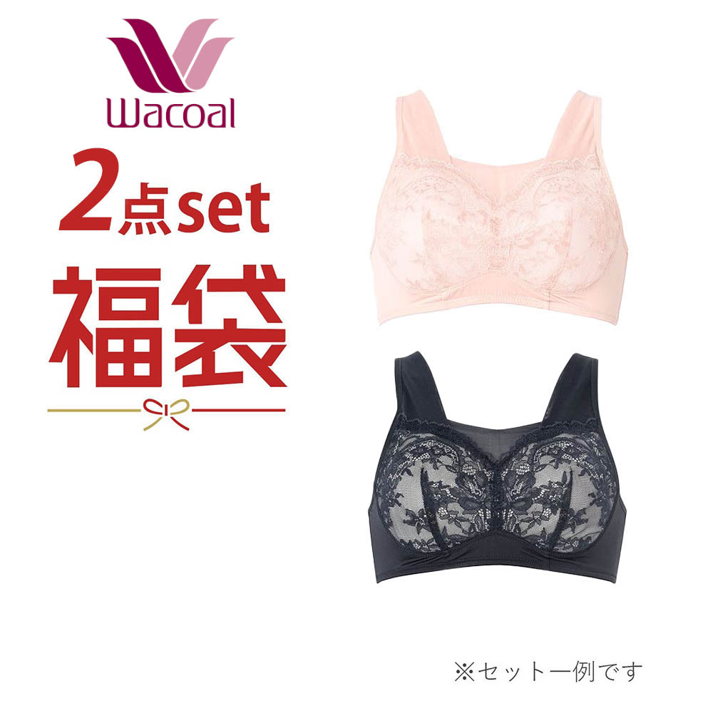 【ワコール/Wacoal】【2枚組】 ナイトアップブラメッシュタイプ