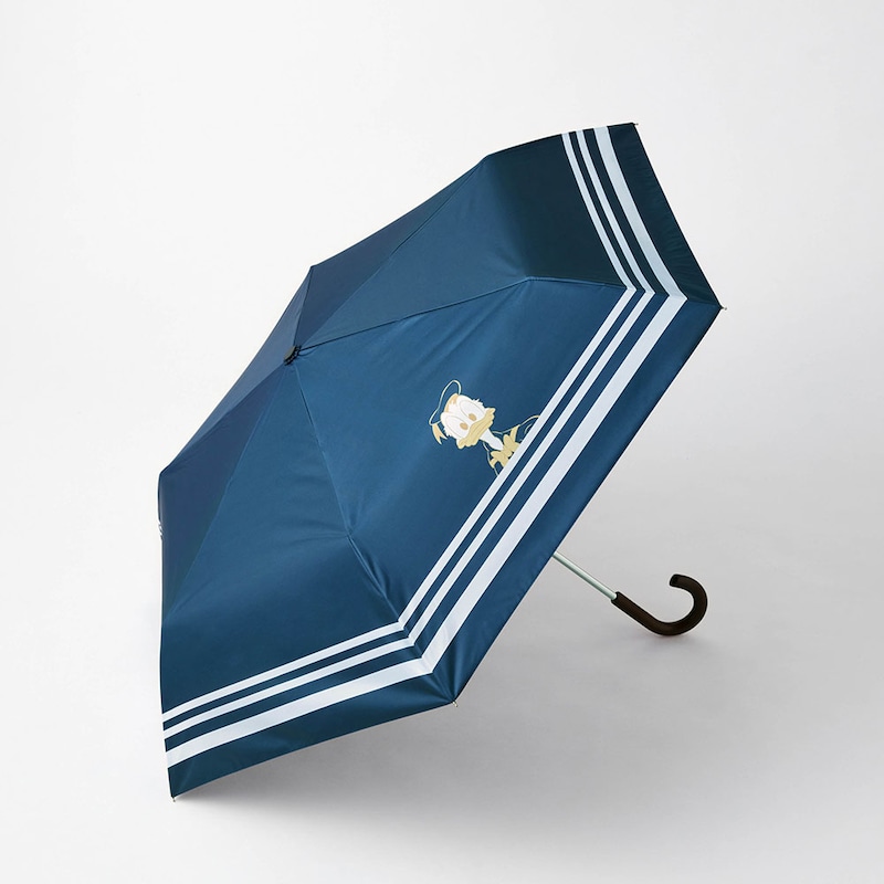 ドナルドダック