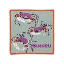 オキナワオオサワガニ