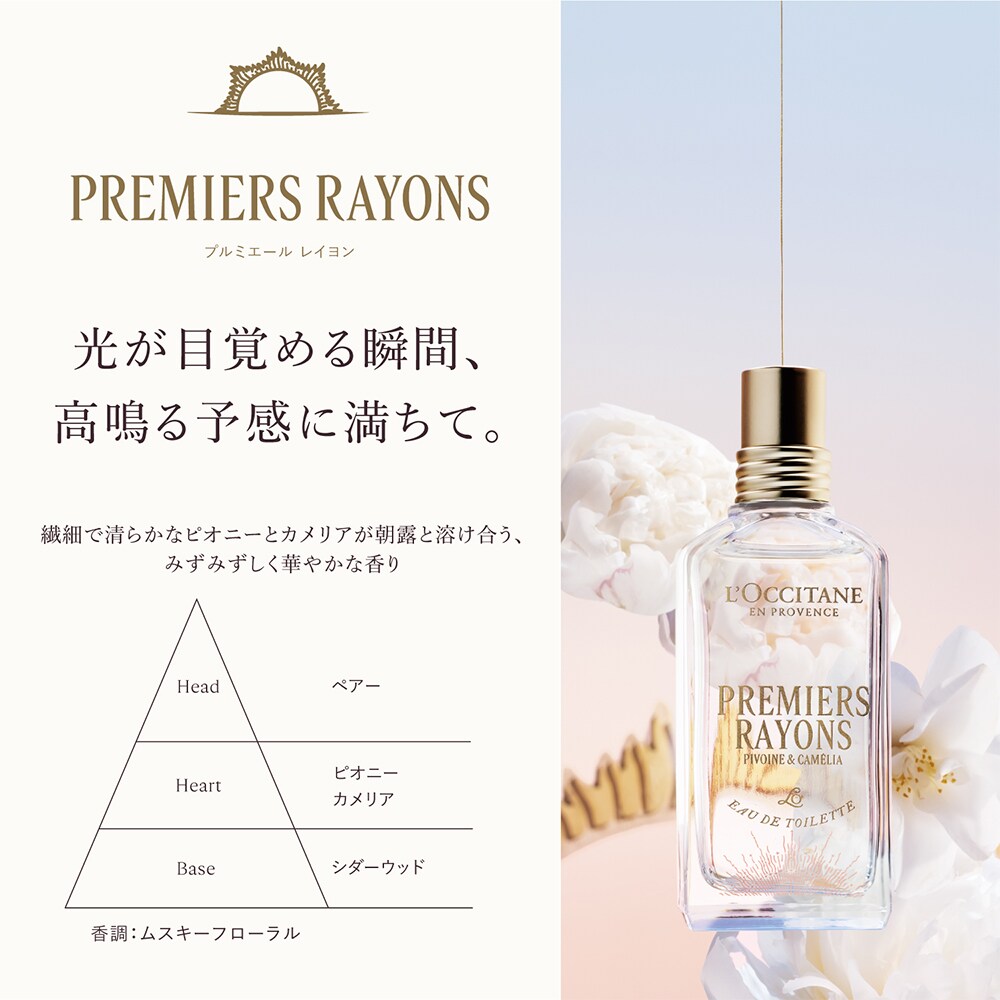 ボックス入り】プルミエール レイヨン メルシー (ホリデーコフレ