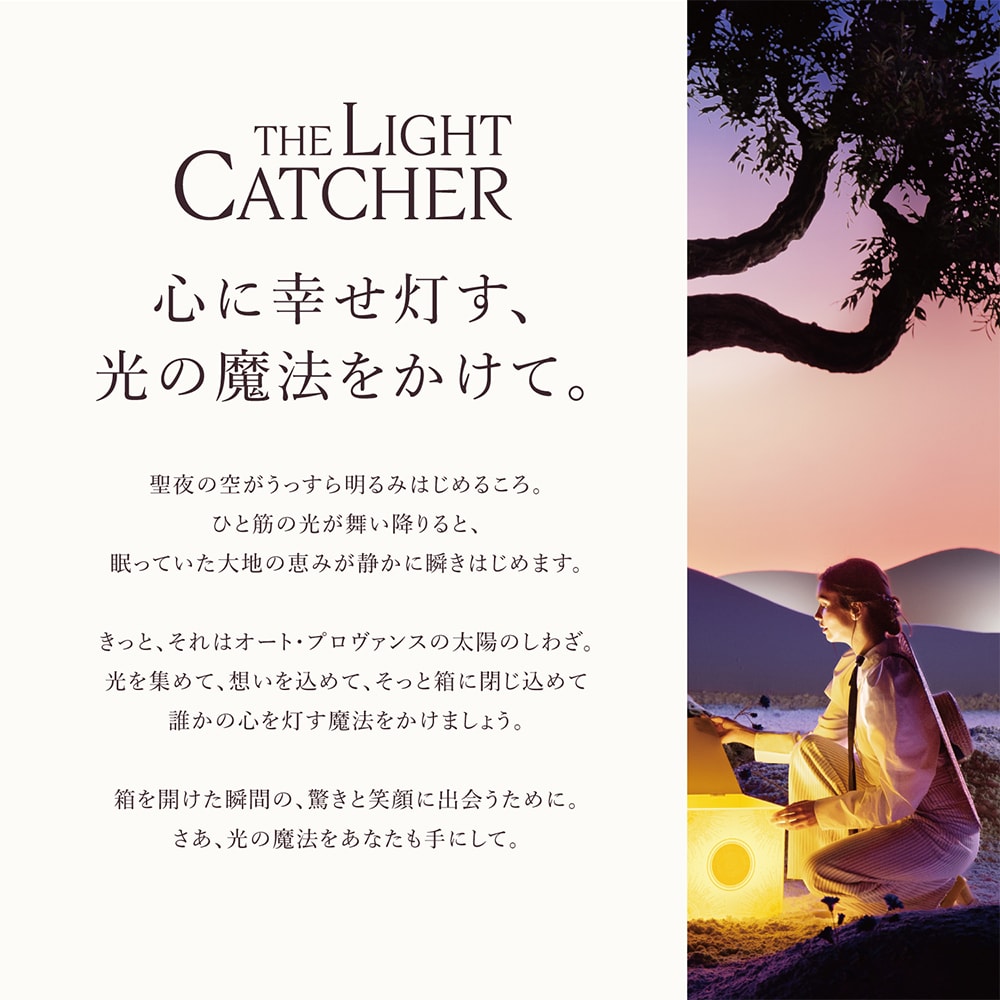 ボックス入り】プルミエール レイヨン メルシー (ホリデーコフレ