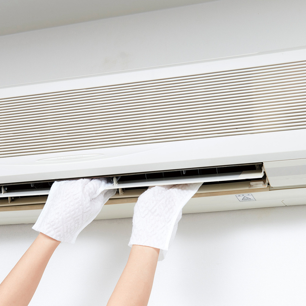 【定期お届け】 「いいことの素」ホコリ・汚れ取りワイパー手袋 :ワンパターン