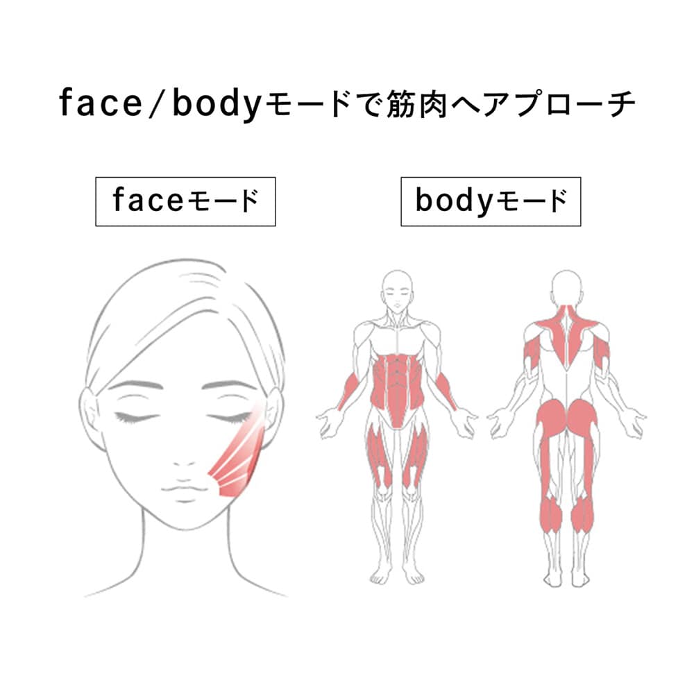 リファカラットリフト(リファ/ReFa)｜通販のベルメゾンネット