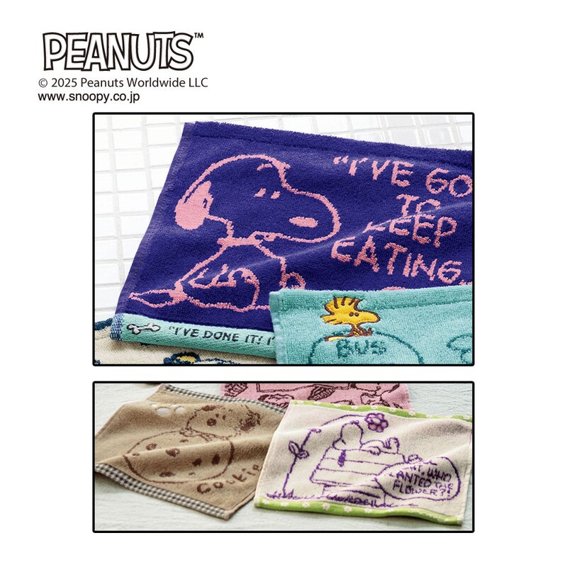 ※画像はイメージです