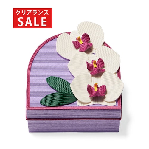 【クリアランス】【1回のみお届け】[胡蝶蘭] クラフトテープで作るお花の小箱手作りキット