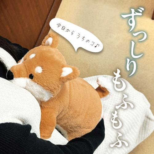 【1回のみお届け】[柴犬] omonui（おもぬい）～無口な同居人～