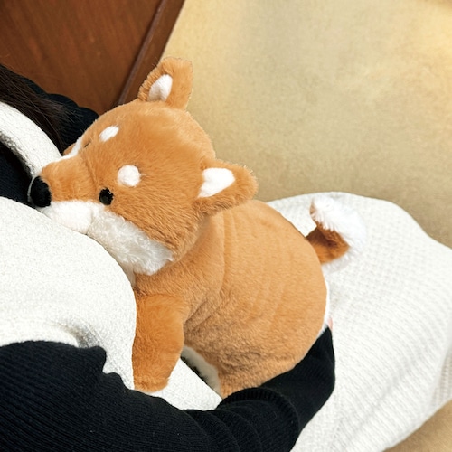 【1回のみお届け】[柴犬] omonui（おもぬい）～無口な同居人～