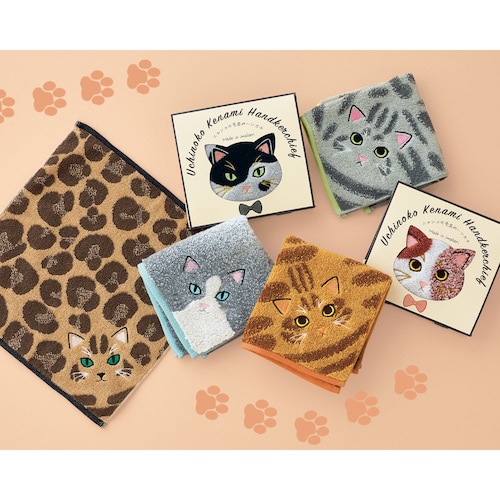 【定期お届け】 うちのニャンコ 毛並みハンカチ ：6回シリーズ