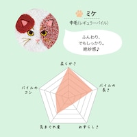 ミケ／中毛（レギュラーパイル）
