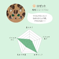 ロゼット／短毛（ショートパイル）
