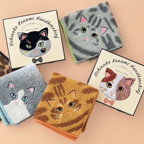 【定期お届け】 うちのニャンコ 毛並みハンカチ ：6回シリーズ