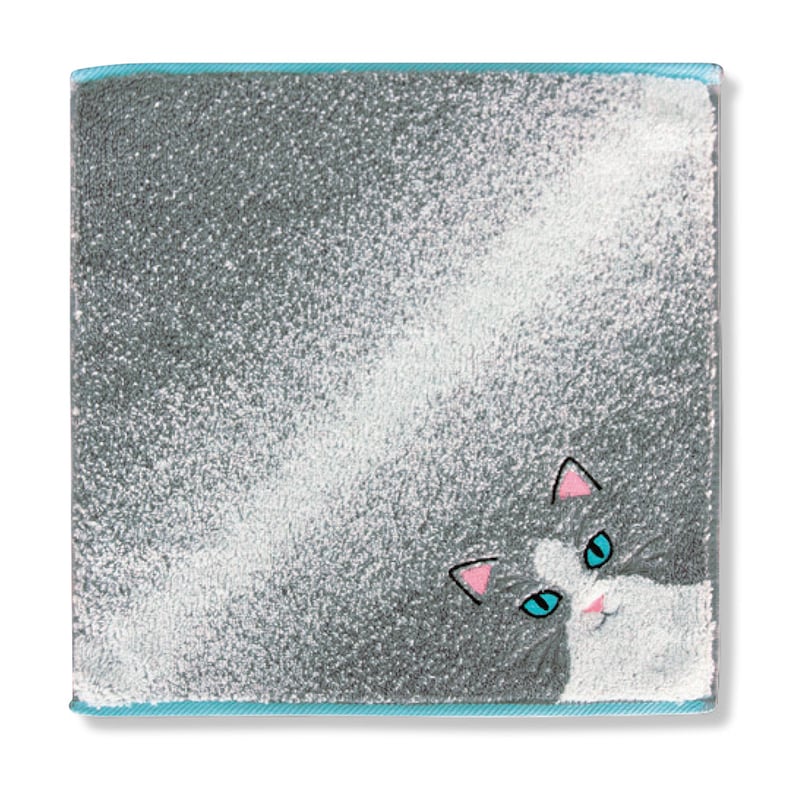 ハチワレ／長毛（ロングパイル）