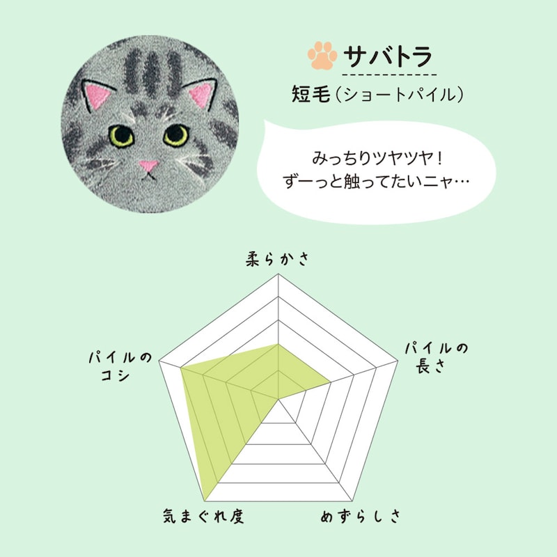 サバトラ／短毛（ショートパイル）