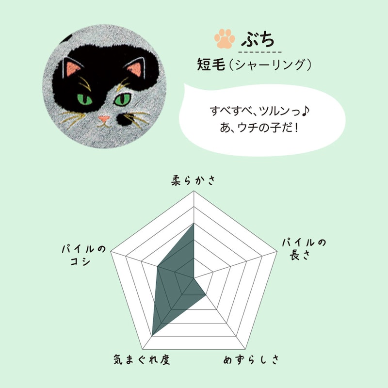 ぶち／短毛（シャーリング）