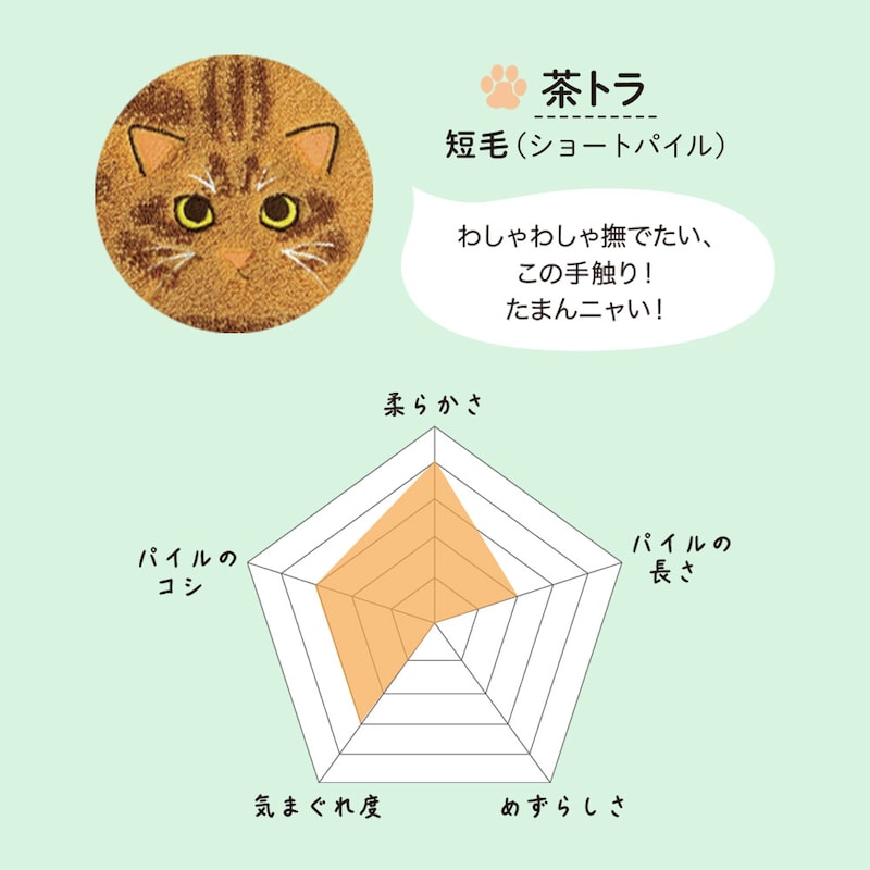 茶トラ／短毛（ショートパイル）