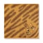 茶トラ