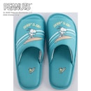 ターコイズブルー