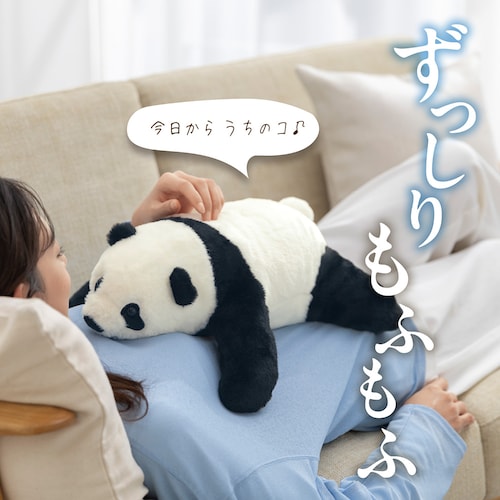 omonui（おもぬい）～無口な同居人～