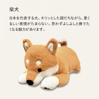 柴犬