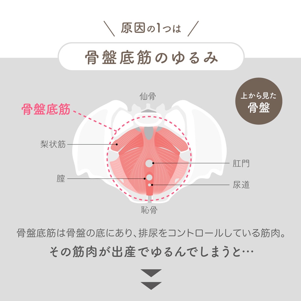 4月9日までキャッシュバック】 ハーモット ペルモント 【簡単骨盤底筋