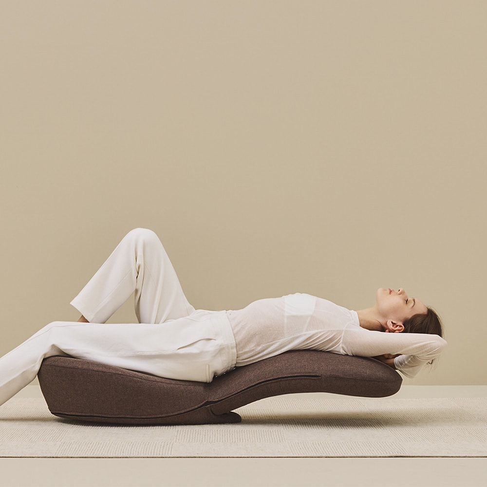 4月9日までキャッシュバック】 ストレッチチェアL2.0 【ラージサイズの