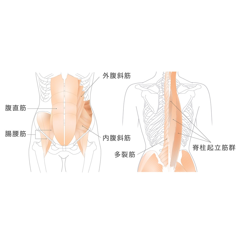 バランスを取る動作で体幹エクササイズ