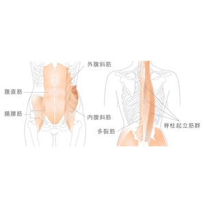 バランスを取る動作で体幹エクササイズ