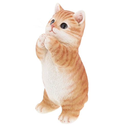 べニーズキャット おねがい