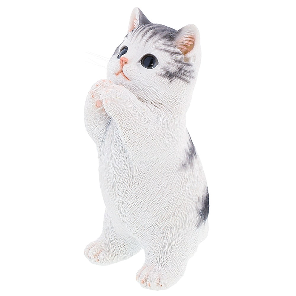 サバ白