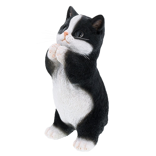 べニーズキャット おねがい