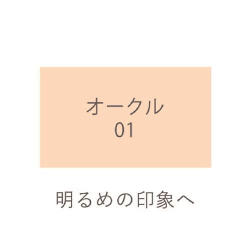 【期間限定】 プレミアムファンデーションN＆クレンジングオイル