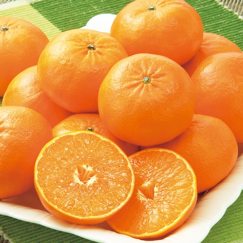 【定期お届け】【送料無料】 贅沢果実フルーツ頒布会 ：12回シリーズ