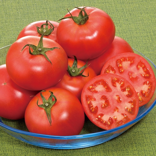 【定期お届け】【送料無料】 フルーツトマト頒布会 ：6回シリーズ