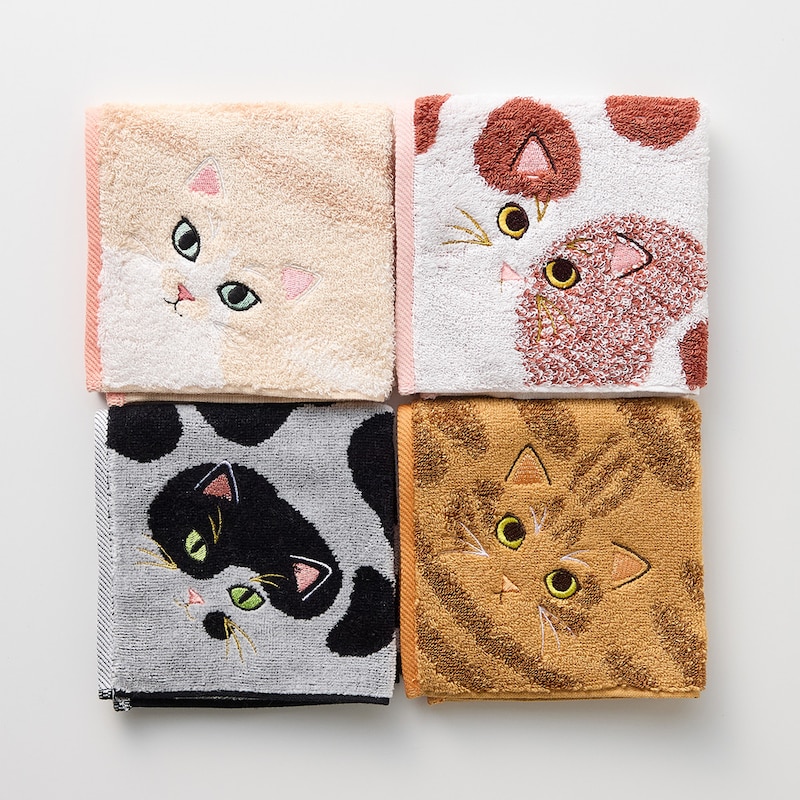 左上から時計回りに、ハチワレ(cream)・ミケ・茶トラ・ぶち