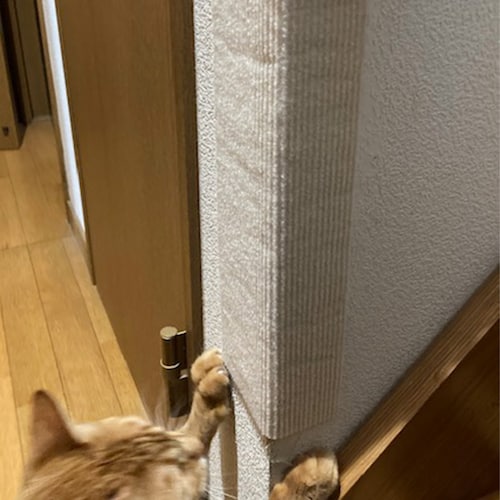 カットして好きな場所に貼れる爪とぎシート