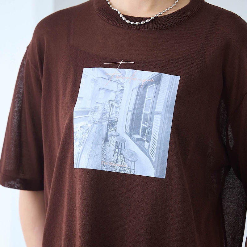 ブラウン（フォト）