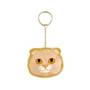 スコティッシュフォールド