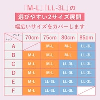 サイズ表